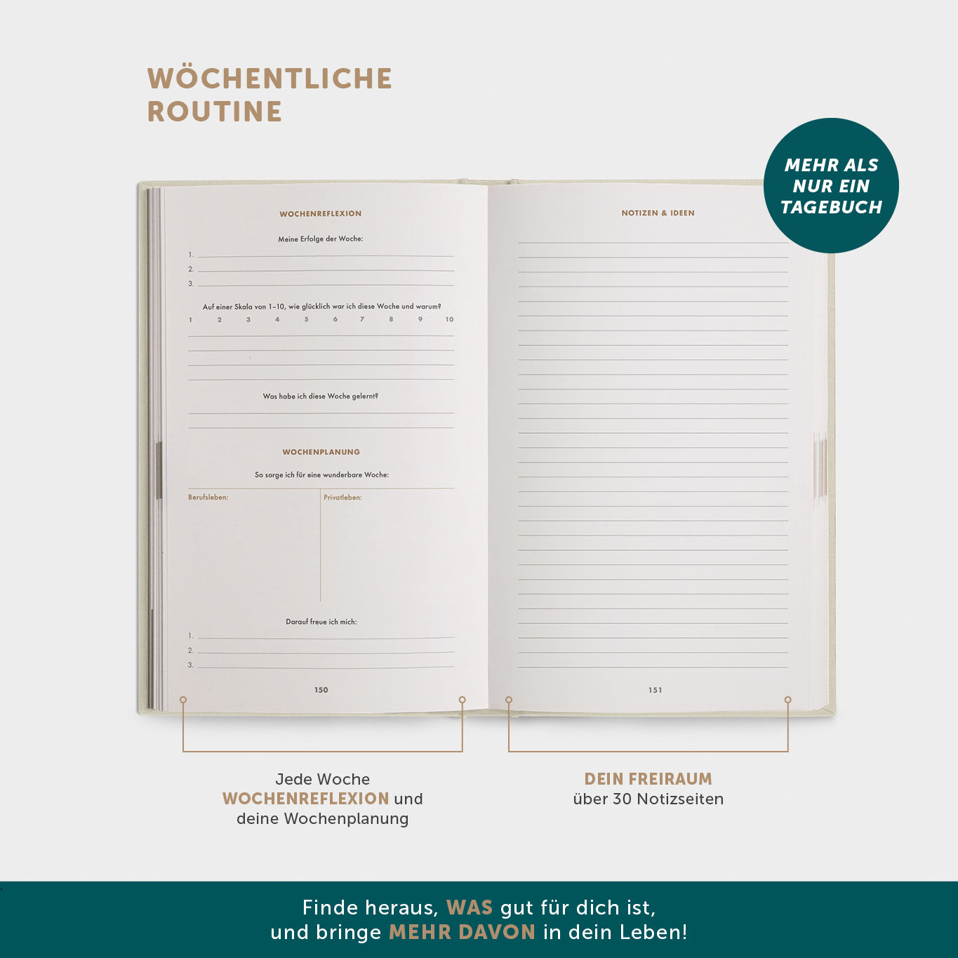 6-Minuten-Tagebuch PUR
