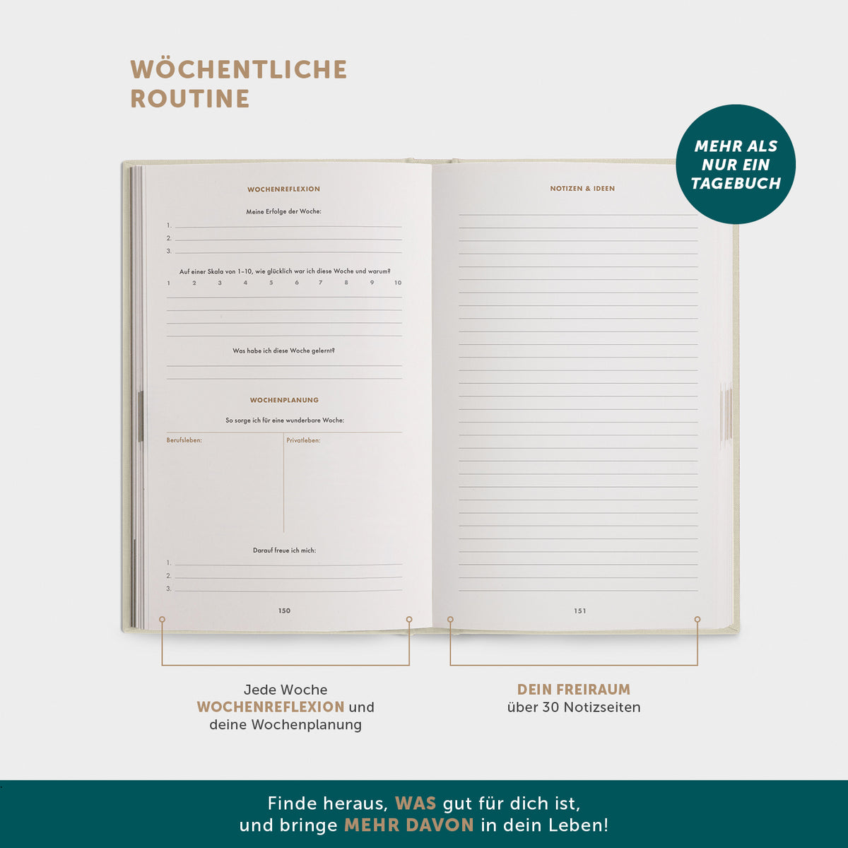 6-Minuten-Tagebuch PUR